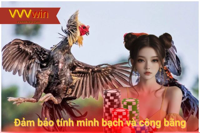 Đá gà là gì? Tại sao đá gà lại có sức hút lớn đến vậy? Trò chơi đảm bảo tính minh bạch và công bằng