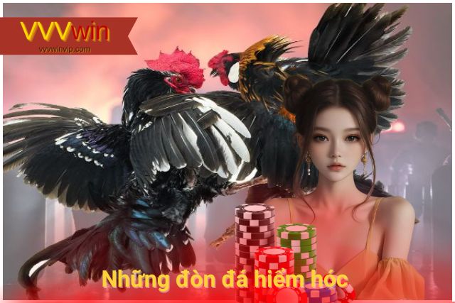 Đá gà là gì? Tại sao đá gà lại có sức hút lớn đến vậy? Những hòn đá hiểm hóc khi chọn kiểu đá Mỹ