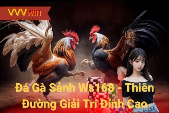 Đá Gà Sảnh Ws168 - Thiên Đường Giải Trí Đỉnh Cao Của Nhà Cái VVVwin Đá Gà Sảnh Ws168 - Thiên Đường Giải Trí Đỉnh Cao Của Nhà Cái VVVwin